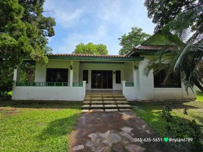 บ้านเดี่ยว 3500000 นครนายก บ้านนา บ้านพร้าว