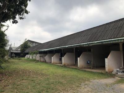 บ้านเดี่ยว 2370000 สุราษฎร์ธานี กาญจนดิษฐ์ กะแดะ