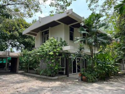 บ้านเดี่ยว 150000 กรุงเทพมหานคร เขตวัฒนา คลองตันเหนือ