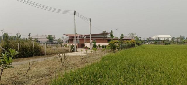 บ้านเดี่ยว 5500000 เชียงใหม่ หางดง ขุนคง บ้านเดี่ยว 5500000 เชียงใหม่ หางดง ขุนคง