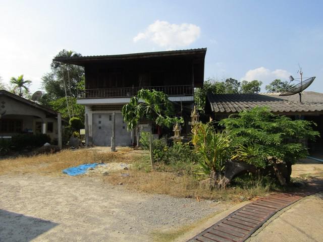 บ้านเดี่ยว 600000 สุราษฎร์ธานี พนม พนม บ้านเดี่ยว 600000 สุราษฎร์ธานี พนม พนม