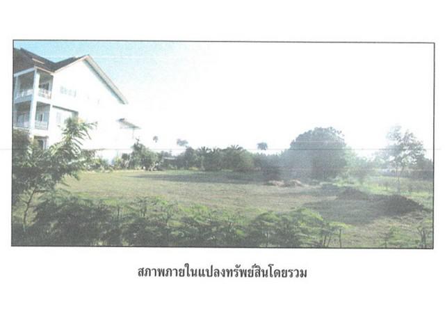 บ้านเดี่ยว 9200000 สุราษฎร์ธานี ไชยา เวียง บ้านเดี่ยว 9200000 สุราษฎร์ธานี ไชยา เวียง