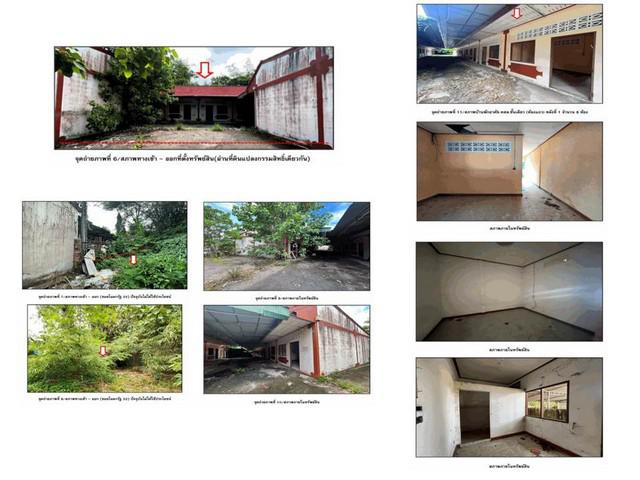 สำนักงาน 14670000 สุราษฎร์ธานี เมืองสุราษฎร์ธานี บางกุ้ง สำนักงาน 14670000 สุราษฎร์ธานี เมืองสุราษฎร์ธานี บางกุ้ง