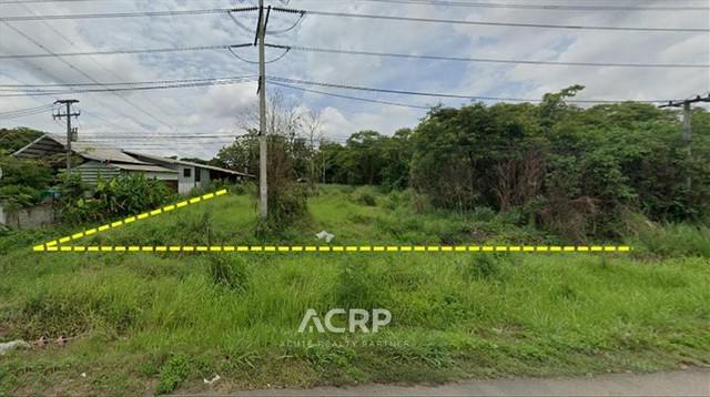 ที่ดิน 91200000 เชียงใหม่ สารภี หนองผึ้ง ที่ดิน 91200000 เชียงใหม่ สารภี หนองผึ้ง
