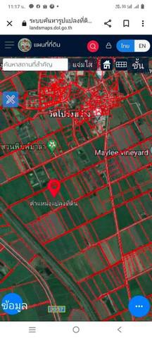 ที่ดิน 180000 สระบุรี หนองโดน บ้านโปร่ง ที่ดิน 180000 สระบุรี หนองโดน บ้านโปร่ง