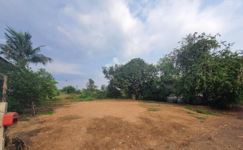 ที่ดิน 350000 นครนายก องครักษ์ โพธิ์แทน ที่ดิน 350000 นครนายก องครักษ์ โพธิ์แทน