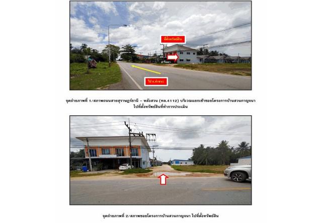 บ้านเดี่ยว 1900000 สุราษฎร์ธานี ไชยา ทุ่ง บ้านเดี่ยว 1900000 สุราษฎร์ธานี ไชยา ทุ่ง