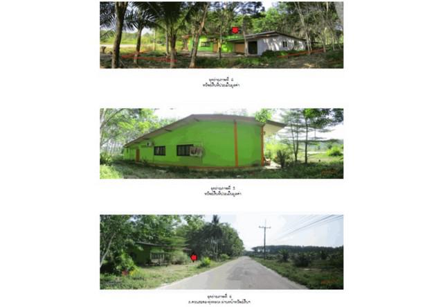บ้านเดี่ยว 2250000 สุราษฎร์ธานี เวียงสระ ทุ่งหลวง