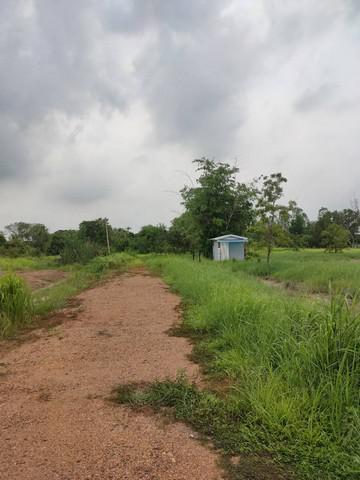 ที่ดิน 1800000 ปทุมธานี หนองเสือ บึงบา