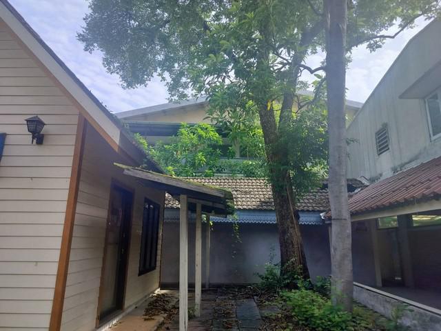 บ้านเดี่ยว 69000000 กรุงเทพมหานคร เขตวัฒนา คลองตันเหนือ บ้านเดี่ยว 69000000 กรุงเทพมหานคร เขตวัฒนา คลองตันเหนือ