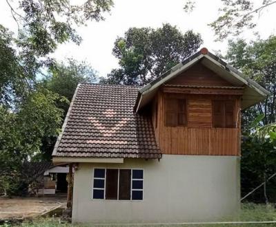 ที่ดิน 2200000 หนองคาย เมืองหนองคาย เมืองหมี