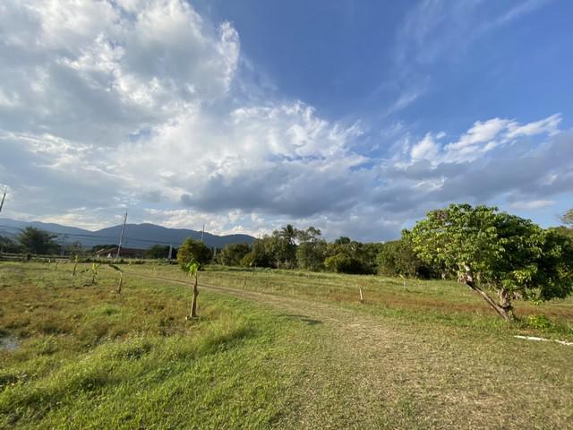 ที่ดิน 48000000 เชียงราย เมืองเชียงราย นางแล ที่ดิน 48000000 เชียงราย เมืองเชียงราย นางแล