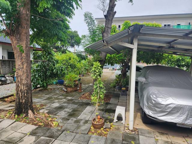 ที่ดิน 127450 กรุงเทพมหานคร เขตลาดพร้าว ลาดพร้าว ที่ดิน 127450 กรุงเทพมหานคร เขตลาดพร้าว ลาดพร้าว