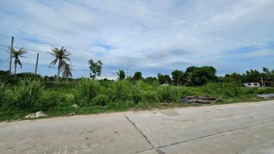 ที่ดิน 2500000 ชลบุรี บ้านบึง หนองบอนแดง