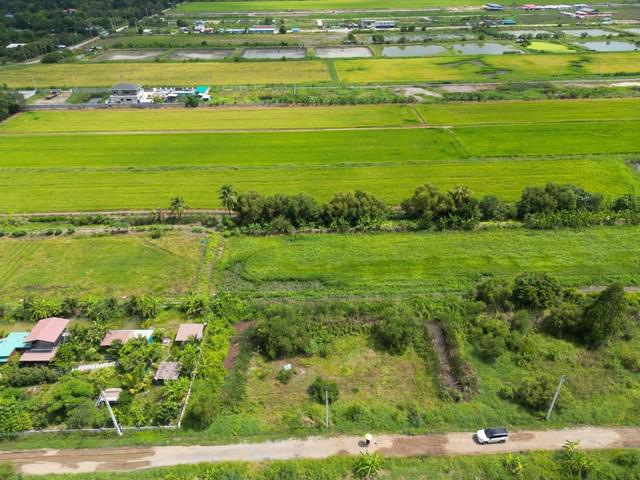 ที่ดิน 2200000 ปทุมธานี ลำลูกกา ลำลูกกา ที่ดิน 2200000 ปทุมธานี ลำลูกกา ลำลูกกา