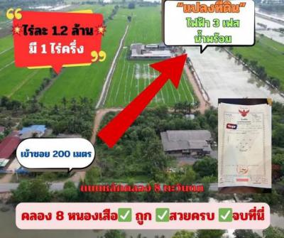 ที่ดิน 1430000 ปทุมธานี หนองเสือ บึงชำอ้อ