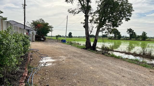 ที่ดิน 1430000 ปทุมธานี หนองเสือ บึงชำอ้อ ที่ดิน 1430000 ปทุมธานี หนองเสือ บึงชำอ้อ