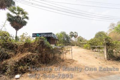 ที่ดิน 990000 ชัยนาท สรรคบุรี ห้วยกรด