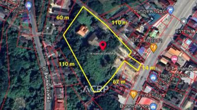 ที่ดิน 32317000 ลำพูน เมืองลำพูน เหมืองง่า