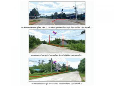 บ้านเดี่ยว 1528000 สุราษฎร์ธานี พระแสง สินเจริญ