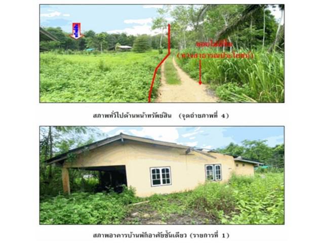 บ้านเดี่ยว 1528000 สุราษฎร์ธานี พระแสง สินเจริญ บ้านเดี่ยว 1528000 สุราษฎร์ธานี พระแสง สินเจริญ