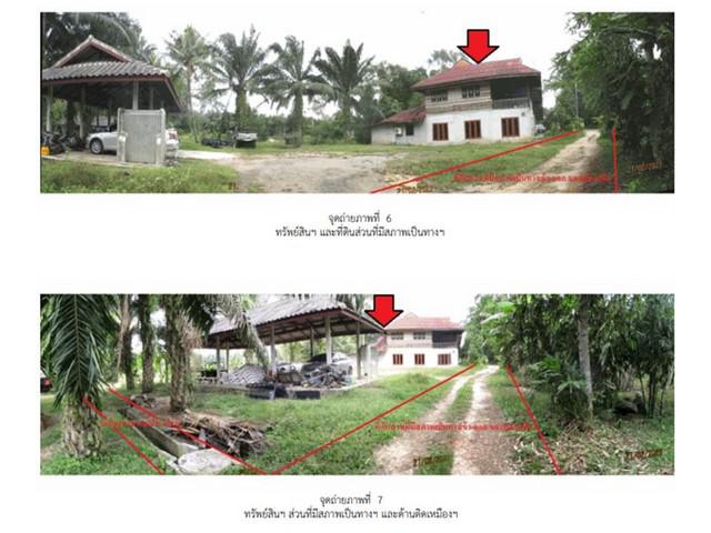บ้านเดี่ยว 1239000 สุราษฎร์ธานี ไชยา ป่าเว บ้านเดี่ยว 1239000 สุราษฎร์ธานี ไชยา ป่าเว