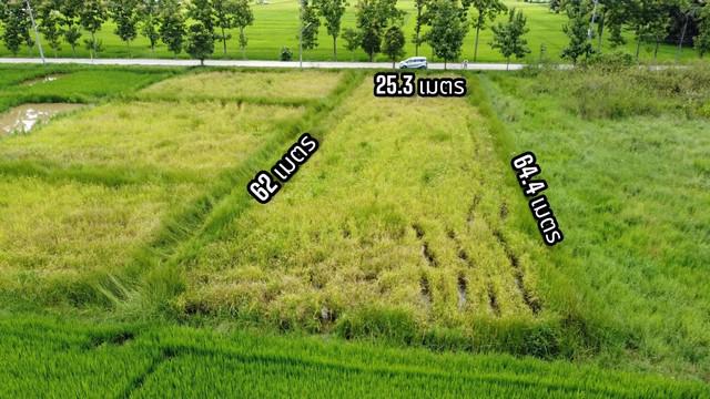 ที่ดิน 6 เชียงใหม่ สันกำแพง แม่ปูคา ที่ดิน 6 เชียงใหม่ สันกำแพง แม่ปูคา