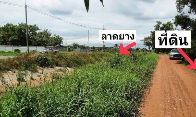 ที่ดิน 5600000 นครนายก เมืองนครนายก ศรีจุฬา ที่ดิน 5600000 นครนายก เมืองนครนายก ศรีจุฬา