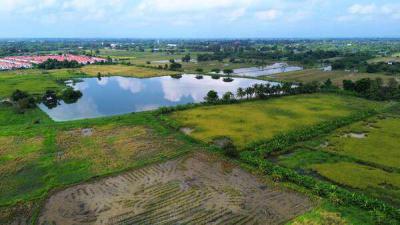 ที่ดิน 39851000 ลำพูน เมืองลำพูน เหมืองง่า