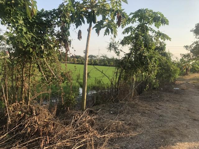 ที่ดิน 800000 ปทุมธานี ลาดหลุมแก้ว บ่อเงิน ที่ดิน 800000 ปทุมธานี ลาดหลุมแก้ว บ่อเงิน