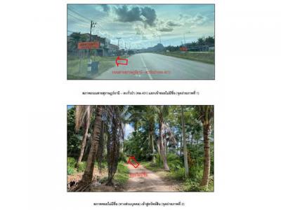 บ้านเดี่ยว 2960000 สุราษฎร์ธานี พนม ต้นยวน