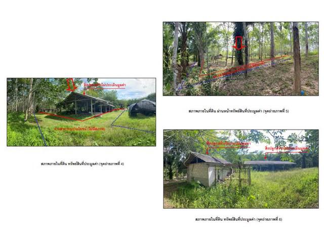บ้านเดี่ยว 2960000 สุราษฎร์ธานี พนม ต้นยวน บ้านเดี่ยว 2960000 สุราษฎร์ธานี พนม ต้นยวน