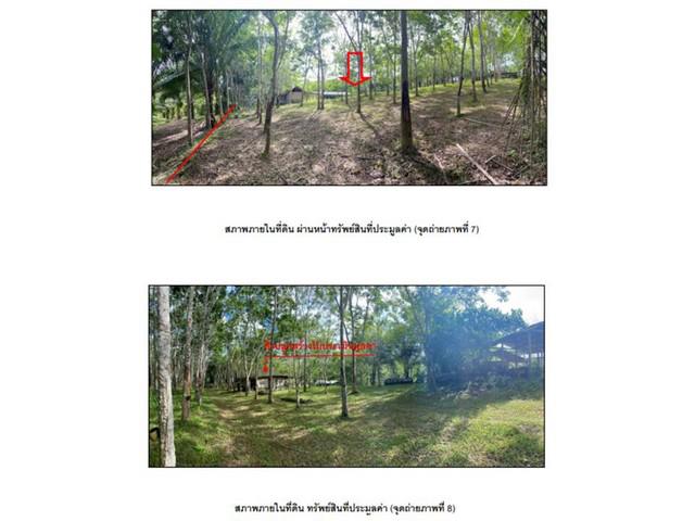 บ้านเดี่ยว 2960000 สุราษฎร์ธานี พนม ต้นยวน บ้านเดี่ยว 2960000 สุราษฎร์ธานี พนม ต้นยวน