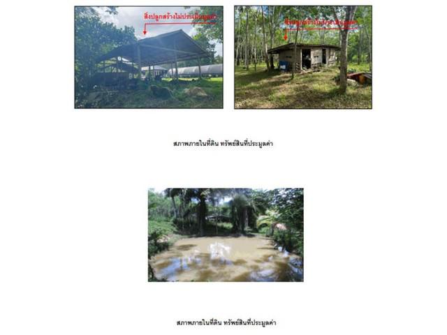 บ้านเดี่ยว 2960000 สุราษฎร์ธานี พนม ต้นยวน บ้านเดี่ยว 2960000 สุราษฎร์ธานี พนม ต้นยวน