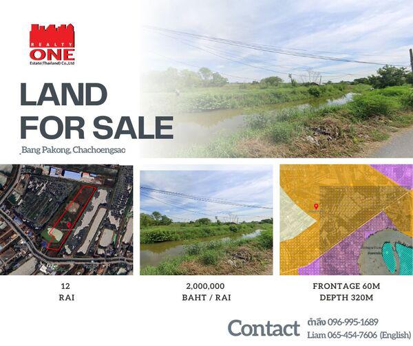 ที่ดิน 24000000 ฉะเชิงเทรา บางปะกง บางปะกง