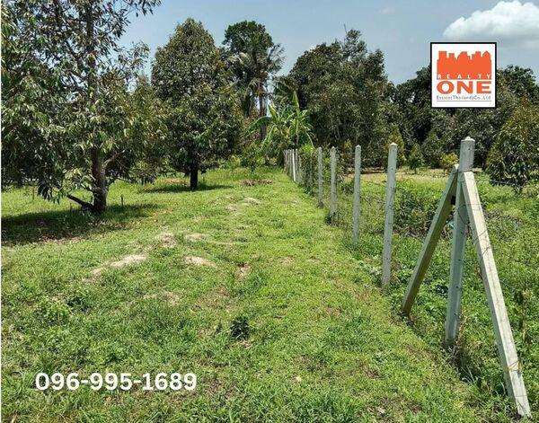 ที่ดิน 18270000 ปราจีนบุรี เมืองปราจีนบุรี ดงขี้เหล็ก ที่ดิน 18270000 ปราจีนบุรี เมืองปราจีนบุรี ดงขี้เหล็ก