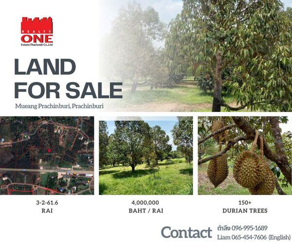 ที่ดิน 18270000 ปราจีนบุรี เมืองปราจีนบุรี ดงขี้เหล็ก ที่ดิน 18270000 ปราจีนบุรี เมืองปราจีนบุรี ดงขี้เหล็ก