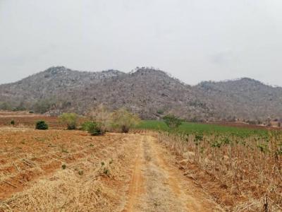 ที่ดิน 300000 นครสวรรค์ เมืองนครสวรรค์ พระนอน