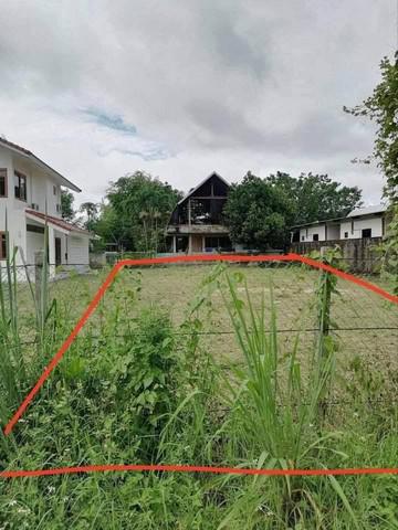 ที่ดิน 3300000 เชียงใหม่ เมืองเชียงใหม่ ป่าตัน