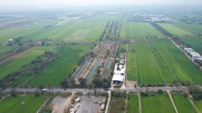 ที่ดิน 1200000 กรุงเทพมหานคร เขตหนองจอก กระทุ่มราย