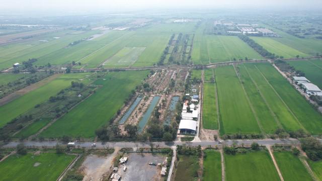 ที่ดิน 1200000 กรุงเทพมหานคร เขตหนองจอก กระทุ่มราย ที่ดิน 1200000 กรุงเทพมหานคร เขตหนองจอก กระทุ่มราย