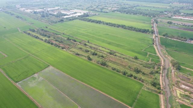 ที่ดิน 1200000 กรุงเทพมหานคร เขตหนองจอก กระทุ่มราย ที่ดิน 1200000 กรุงเทพมหานคร เขตหนองจอก กระทุ่มราย