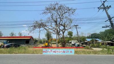 ที่ดิน 2300000 เชียงใหม่ แม่ริม สันโป่ง