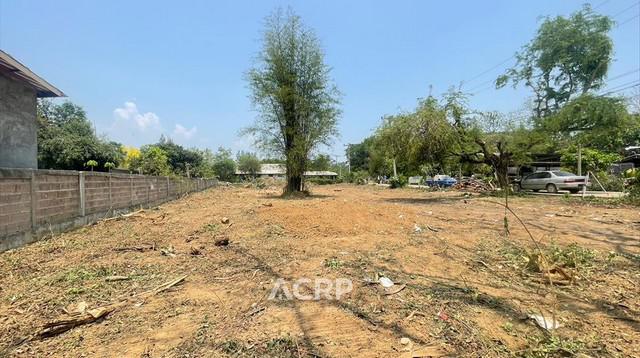 ที่ดิน 2300000 เชียงใหม่ แม่ริม สันโป่ง ที่ดิน 2300000 เชียงใหม่ แม่ริม สันโป่ง