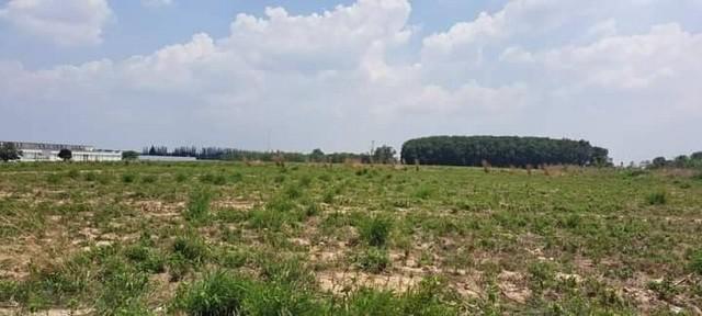 ที่ดิน 35000000 ระยอง ปลวกแดง มาบยางพร ที่ดิน 35000000 ระยอง ปลวกแดง มาบยางพร