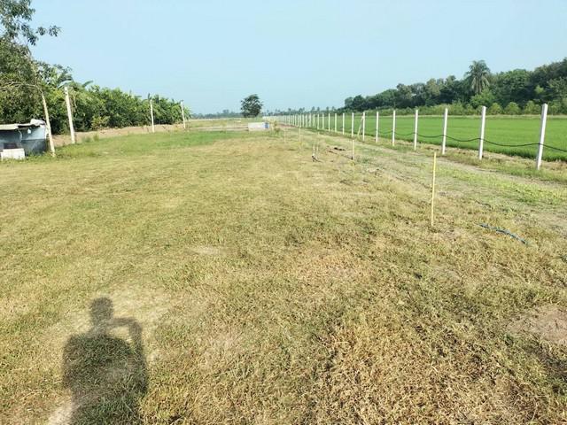 ที่ดิน 5500000 ปทุมธานี ลาดหลุมแก้ว ระแหง ที่ดิน 5500000 ปทุมธานี ลาดหลุมแก้ว ระแหง