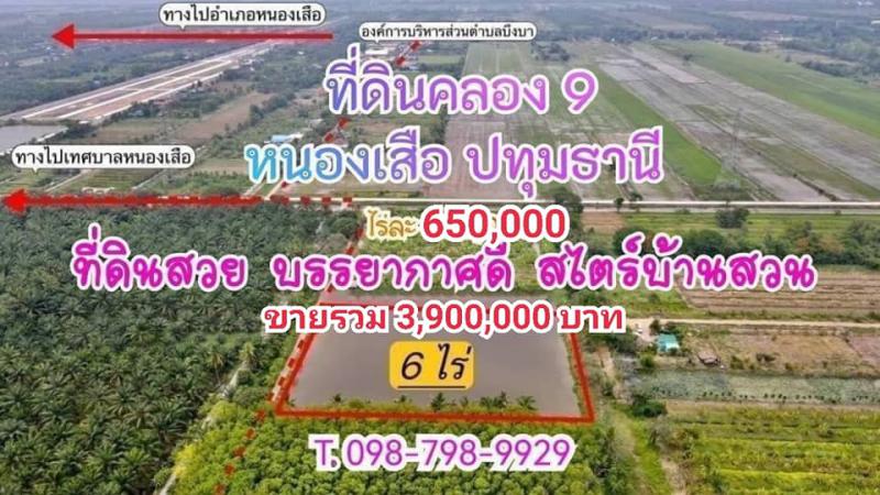 ที่ดิน 3900000 ปทุมธานี หนองเสือ บึงบา ที่ดิน 3900000 ปทุมธานี หนองเสือ บึงบา