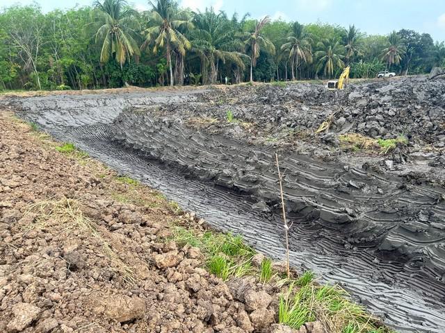 ที่ดิน 3900000 ปทุมธานี หนองเสือ บึงบา ที่ดิน 3900000 ปทุมธานี หนองเสือ บึงบา