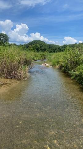 ที่ดิน 800000 น่าน สันติสุข ดู่พงษ์ ที่ดิน 800000 น่าน สันติสุข ดู่พงษ์