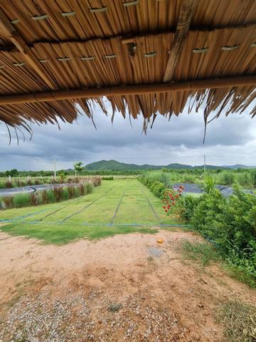 ที่ดิน 800000 กาญจนบุรี ท่าม่วง หนองตากยา ที่ดิน 800000 กาญจนบุรี ท่าม่วง หนองตากยา